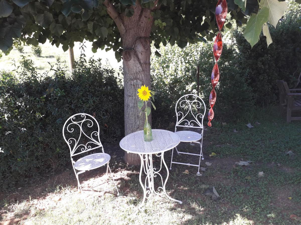 B&B La Riundela Asti Zewnętrze zdjęcie